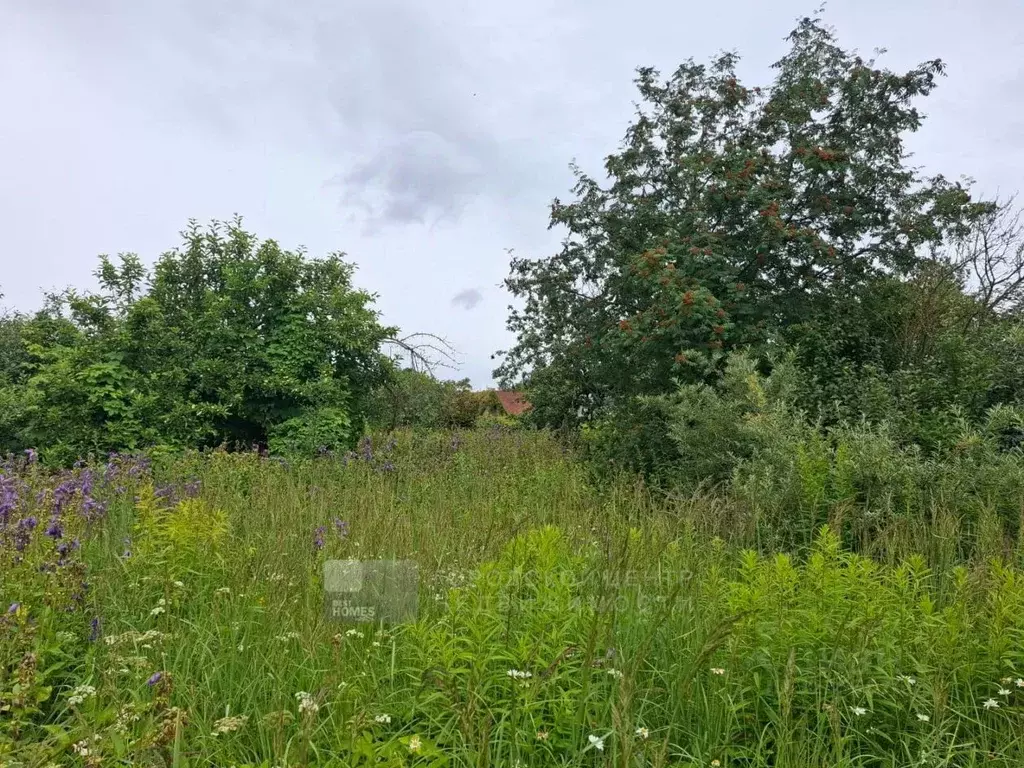 Участок в Московская область, Истра ул. Урицкого, 21 (6.0 сот.) - Фото 2