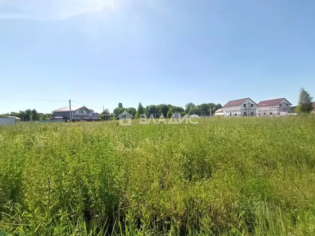 Участок в Московская область, Раменский муниципальный округ, с. Кривцы ... - Фото 2