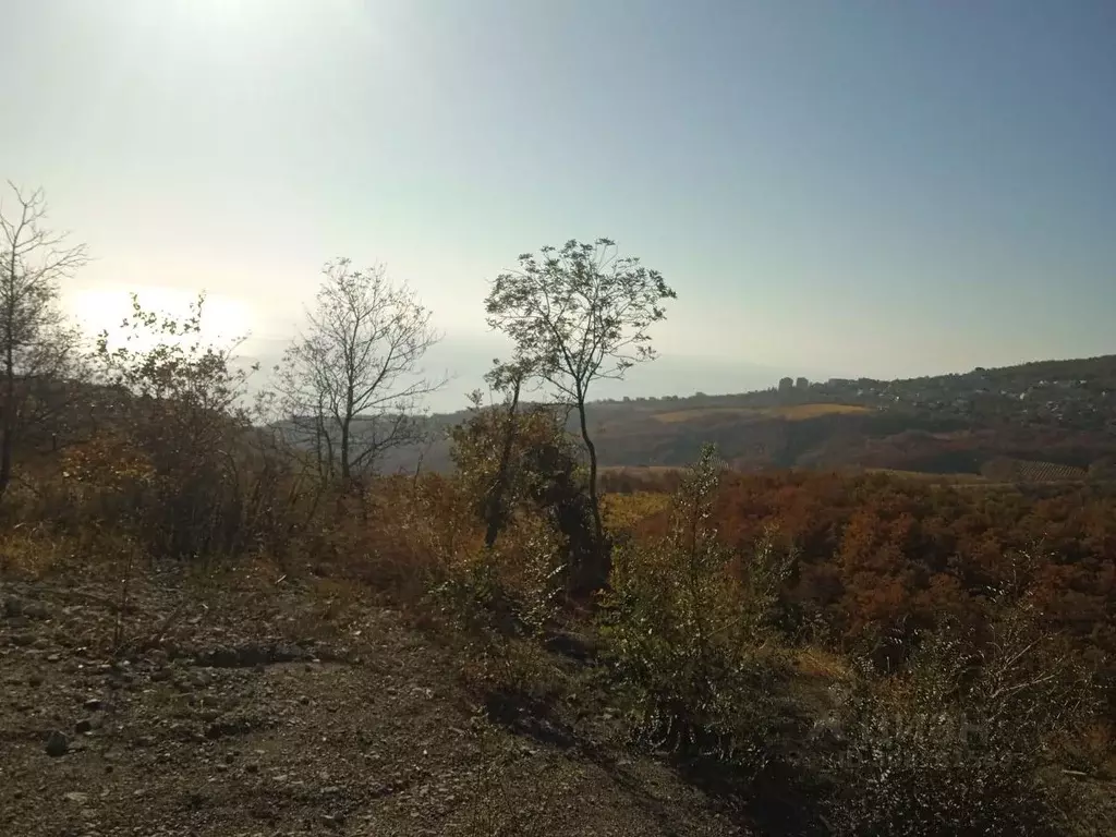 Участок в Крым, Алушта городской округ, с. Приветное ул. Горького, 36 ... - Фото 1