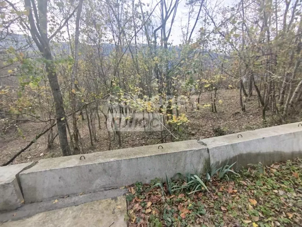 Участок в Краснодарский край, Туапсинский муниципальный округ, с. ... - Фото 2