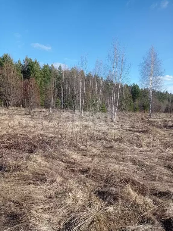 Участок в Свердловская область, Нижний Тагил с. Ольховка,  (10.0 сот.) - Фото 0