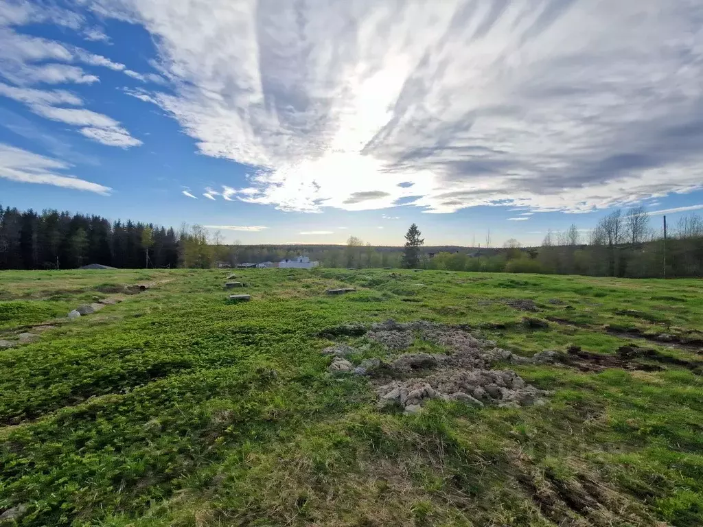 Участок в Карелия, Прионежский район, Деревянское с/пос, Урочище ... - Фото 1