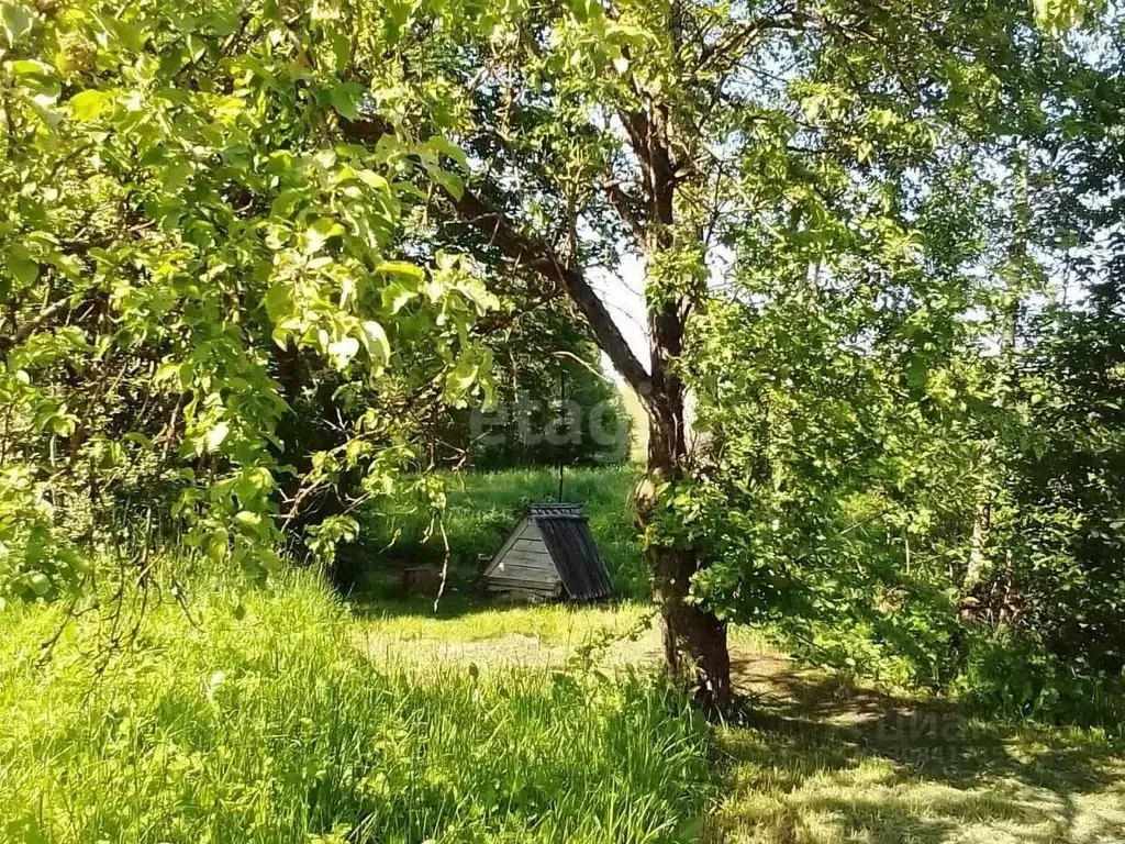Дом в Псковская область, Островский район, Воронцовская волость, д. ... - Фото 0