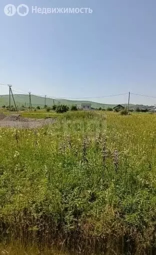 Участок в Усть-Кокса, Советская улица (5.2 м) - Фото 0