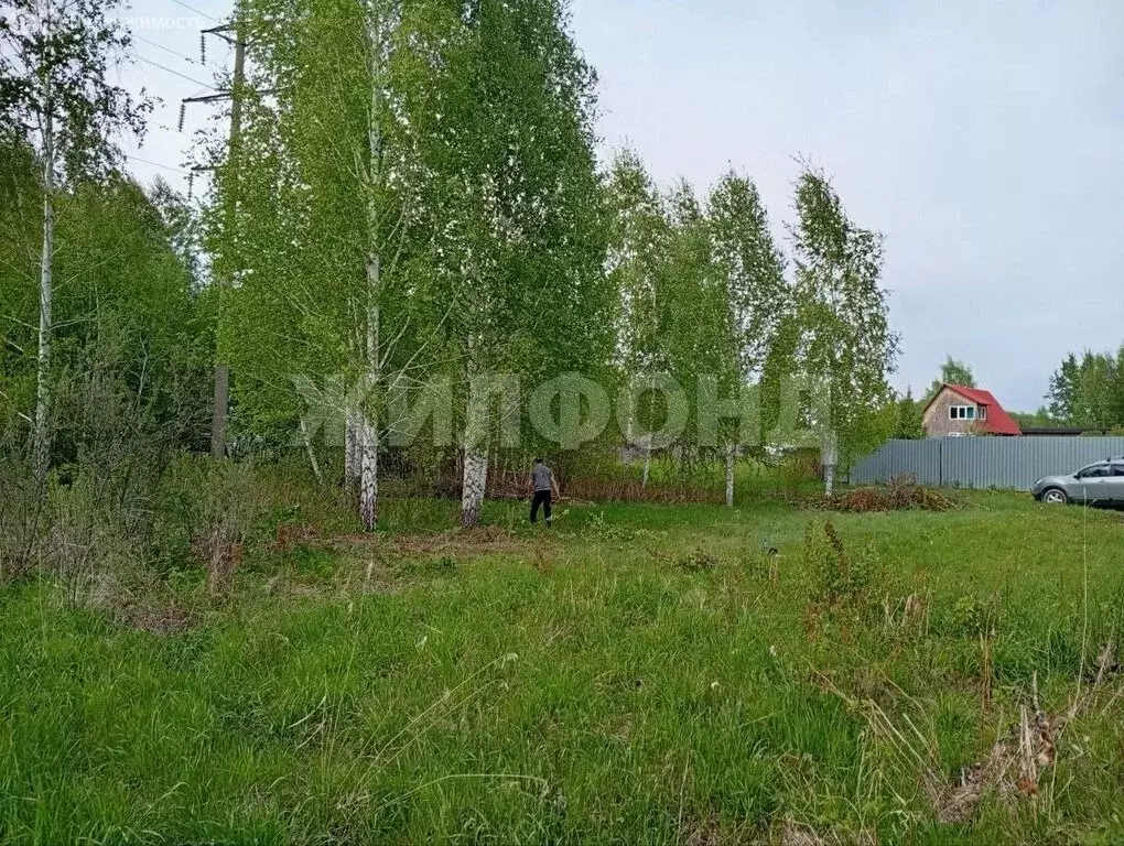 Участок в Омск, ТСН СНТ Опора, 9-я аллея (11 м) - Фото 1