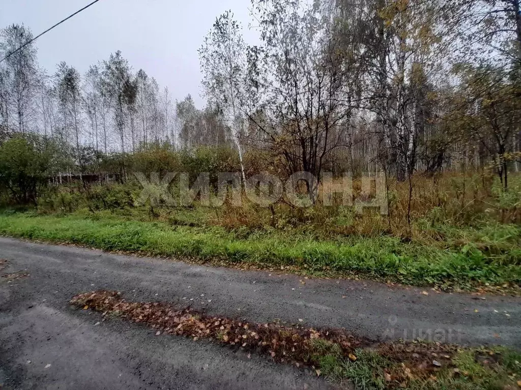 Участок в Новосибирская область, Мошковский район, Недача кп  (11.0 ... - Фото 2
