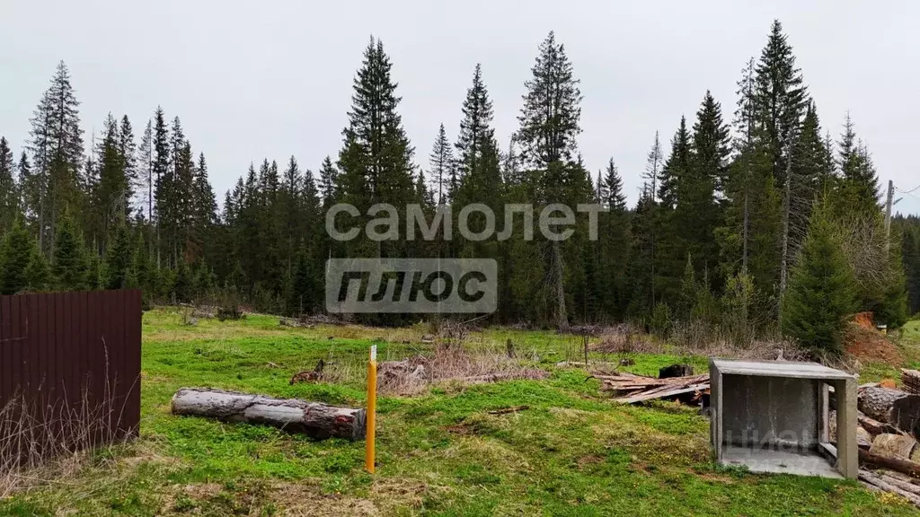 Участок в Челябинская область, Нязепетровск ул. Мира (15.0 сот.) - Фото 1