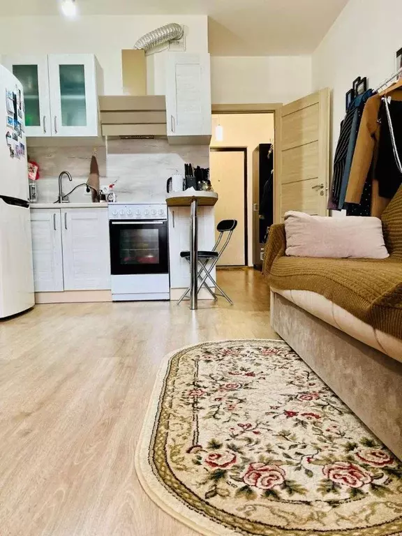 Студия Санкт-Петербург просп. Ветеранов, 171к4 (23.9 м) - Фото 1