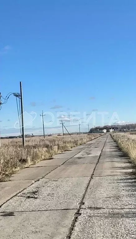 Участок в Тюменская область, Тюменский муниципальный округ, с. ... - Фото 1