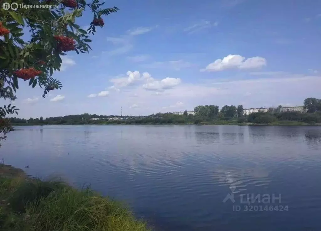 Дом в Верхнее Дуброво, улица Свободы (56 м) - Фото 2