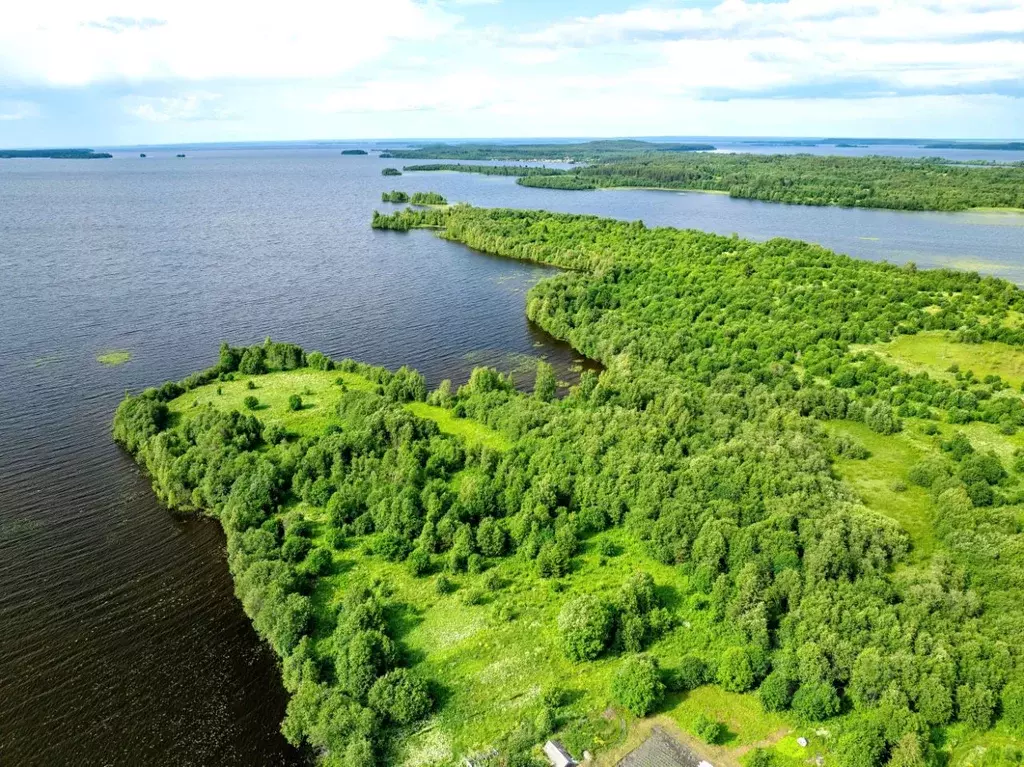 Участок в Карелия, Медвежьегорский муниципальный округ, Кузьмина Гора ... - Фото 1