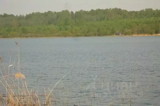 Участок в Псковская область, Плюсский муниципальный округ, д. Ктины  ... - Фото 1