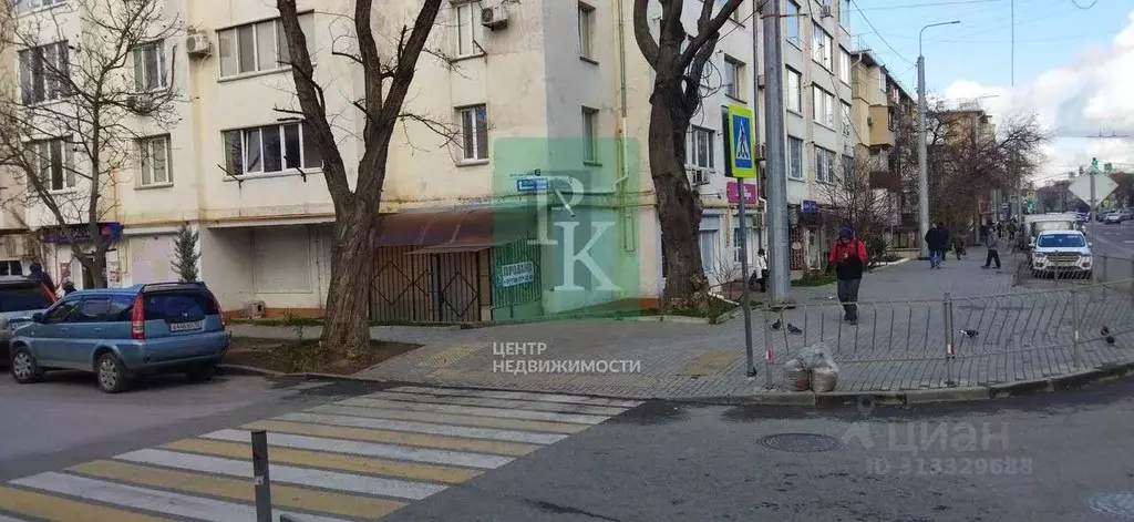 Торговая площадь в Севастополь ул. Льва Толстого, 22 (372 м) - Фото 2
