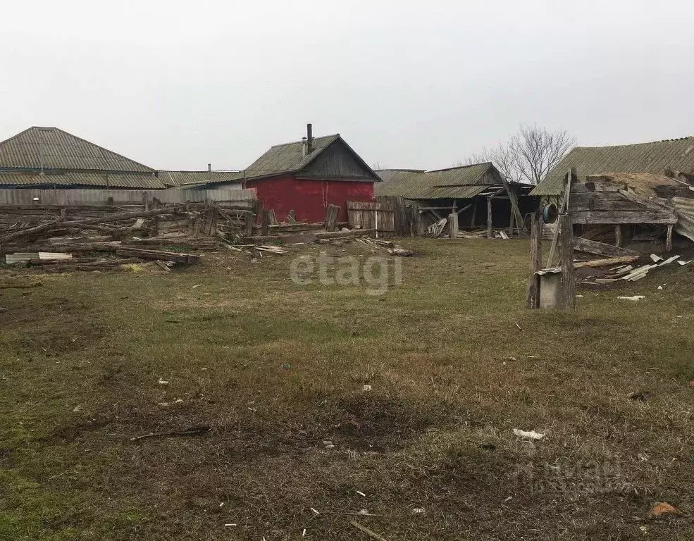 Участок в Белгородская область, Красногвардейский район, ... - Фото 1