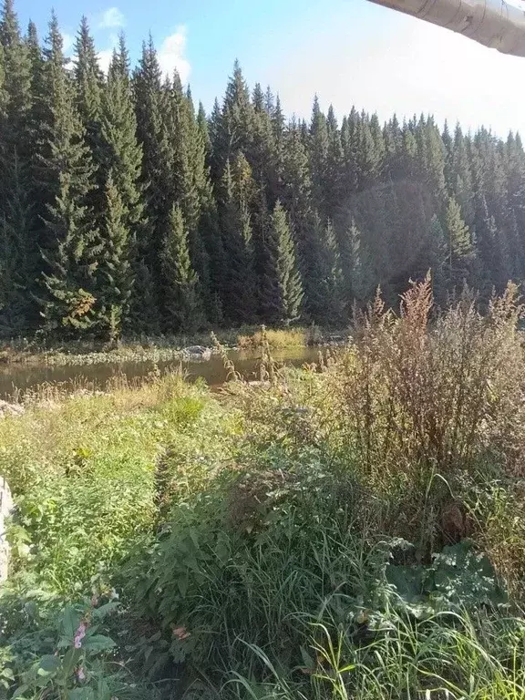 Участок в Свердловская область, Нижние Серги ул. Розы Люксембург, 3 ... - Фото 1