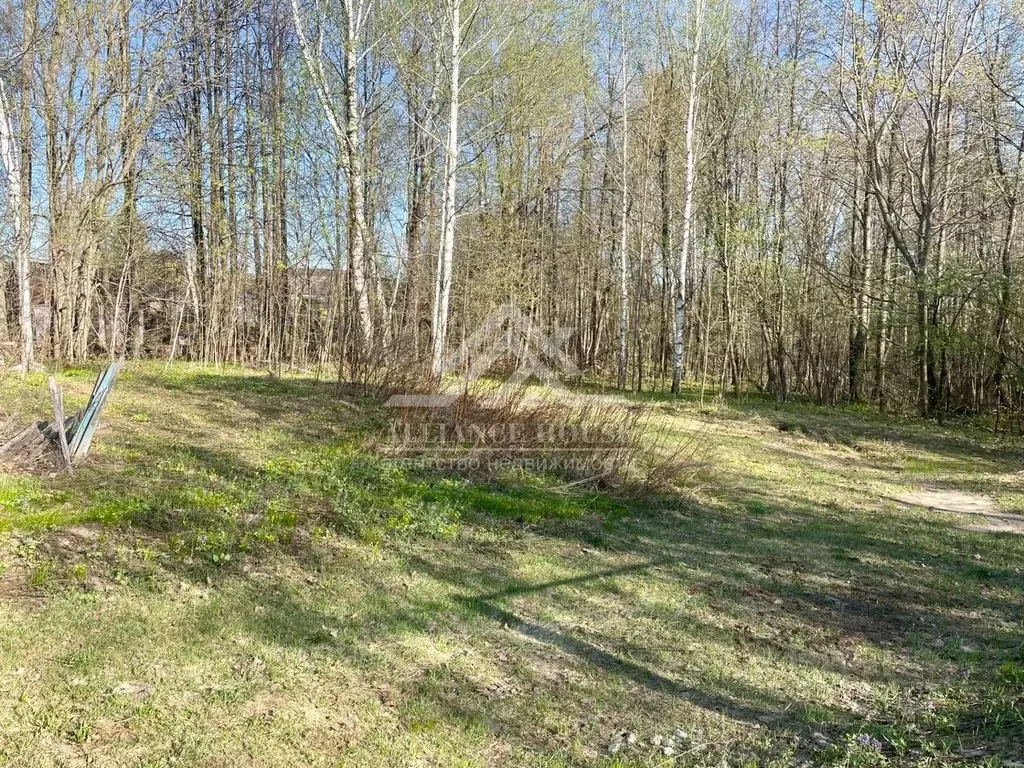 Участок в Татарстан, с. Пестрецы  (11.6 сот.) - Фото 2