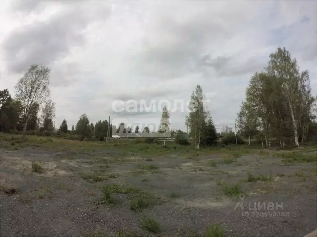 Участок в Карелия, Пряжинский район, пос. Чална Шоссейная ул., 38 ... - Фото 1