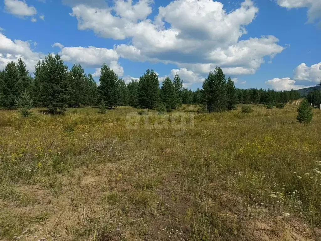 Участок в Бурятия, Хоринский район, с. Хоринск  (190.0 сот.) - Фото 2