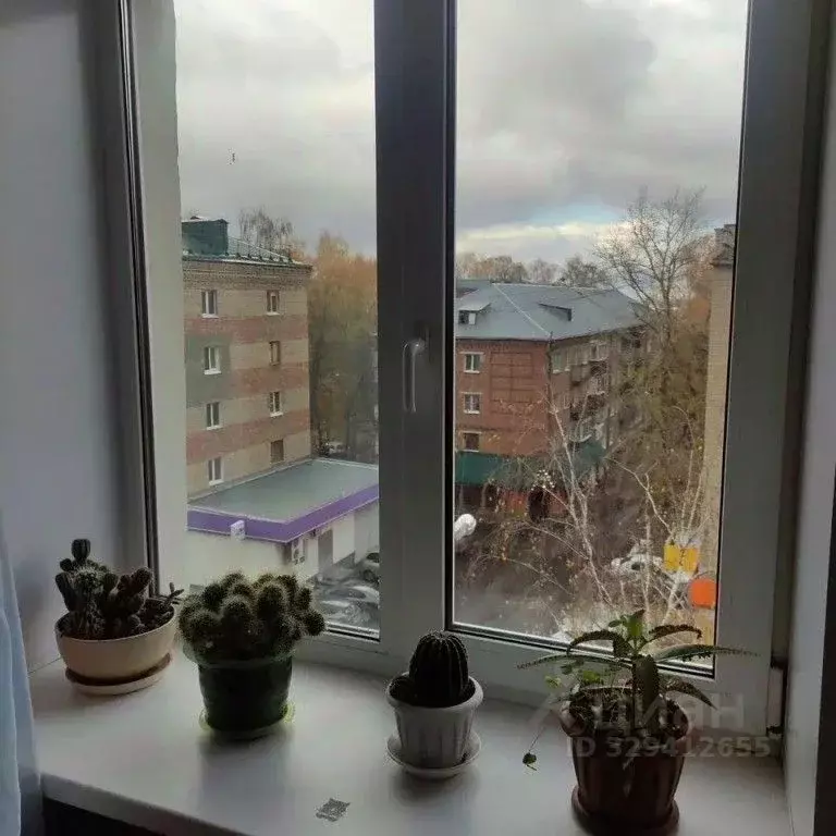 3-к кв. Пензенская область, Пенза ул. Мира, 6 (40.0 м) - Фото 2