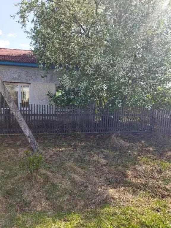 Помещение свободного назначения в Амурская область, Зейский ... - Фото 1