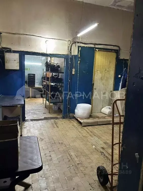 Помещение свободного назначения в Новосибирская область, Новосибирск ... - Фото 2