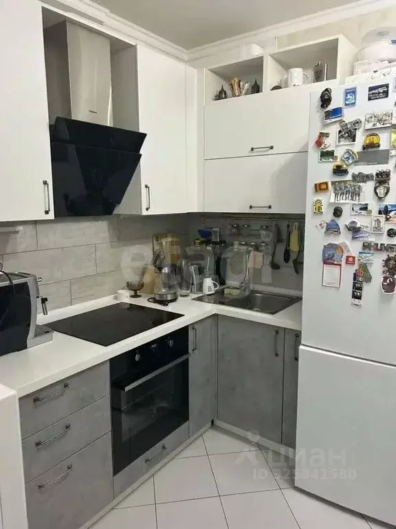 2-к кв. Белгородская область, Белгородский район, Дубовское с/пос, ... - Фото 2