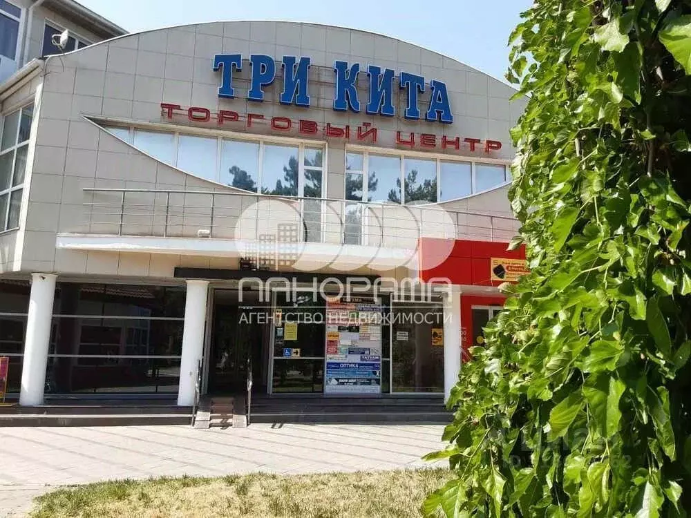 Помещение свободного назначения в Краснодарский край, Анапа Крымская ... - Фото 0