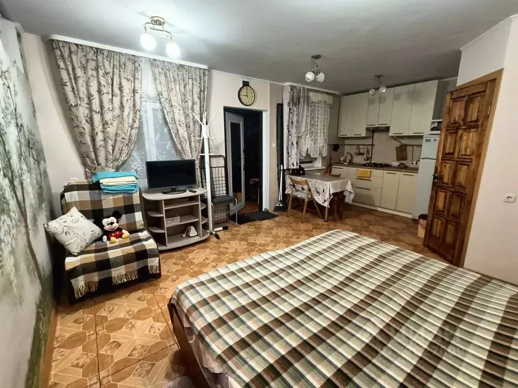 Студия Краснодарский край, Сочи Светлана мкр, ул. Депутатская, 12/1А ... - Фото 2