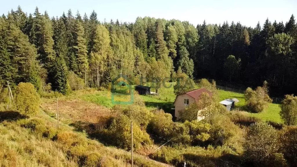 Участок в Ленинградская область, Выборгский район, Рощинское городское ... - Фото 0