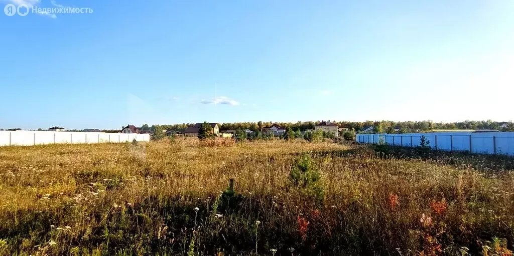 Участок в Тюменский муниципальный округ, КП Новокаменский, улица ... - Фото 2