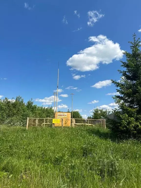 Участок в Владимирская область, Александровский муниципальный округ, ... - Фото 1