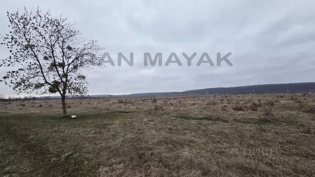 Участок в Адыгея, Майкопский район, Победенское с/пос, Причтовский ... - Фото 0