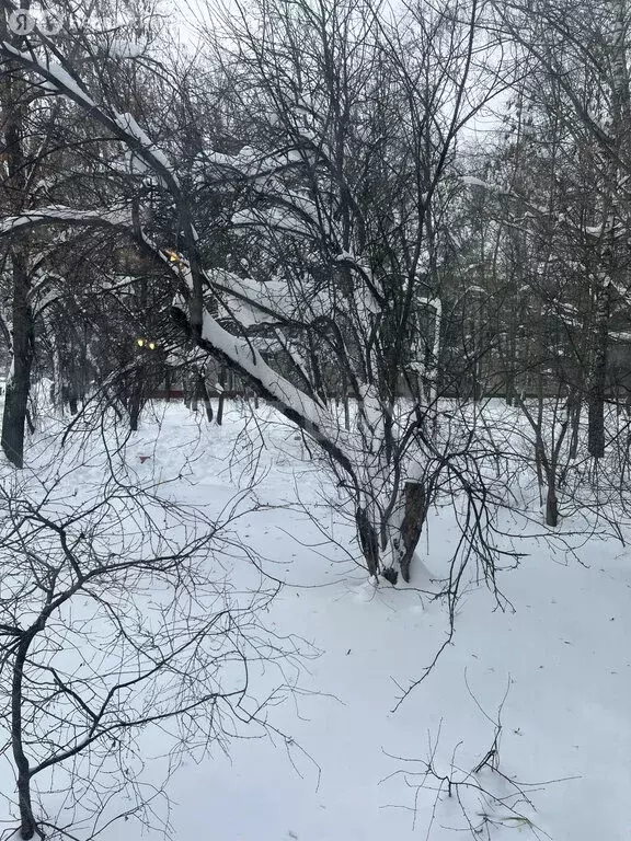 2-комнатная квартира: Королёв, Кооперативная улица, 10 (42.6 м) - Фото 1