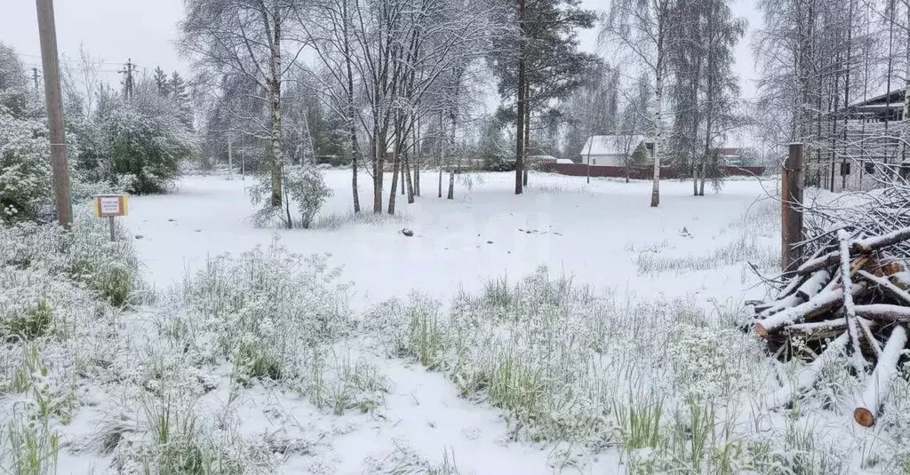 Участок в Ленинградская область, Приозерский район, Громовское с/пос, ... - Фото 1