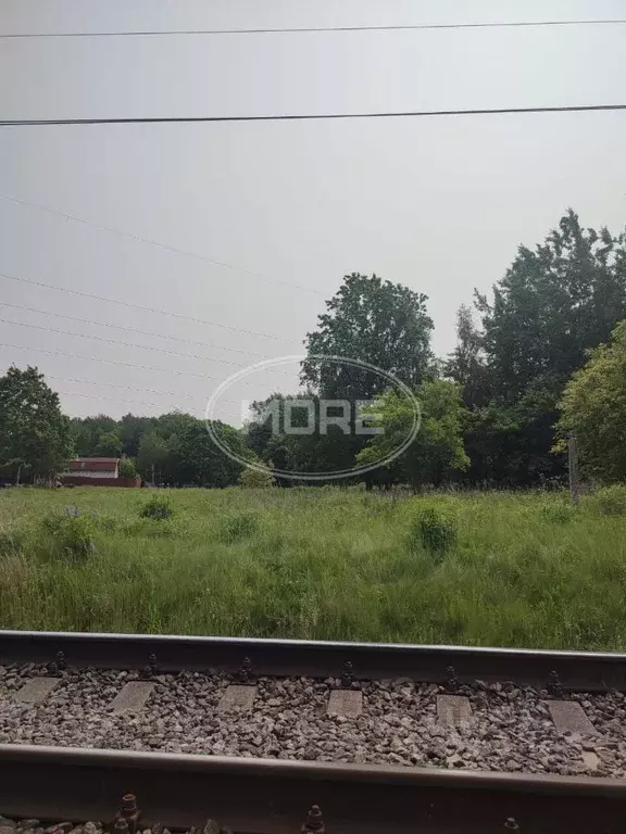Участок в Калининградская область, Балтийск Залив-2 ТСН, проезд ... - Фото 0