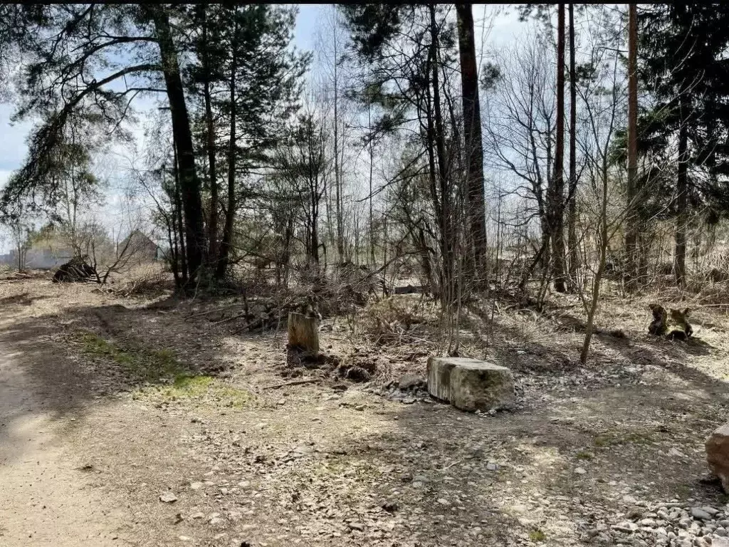 Участок в Московская область, Пушкинский городской округ, с. Левково  ... - Фото 2