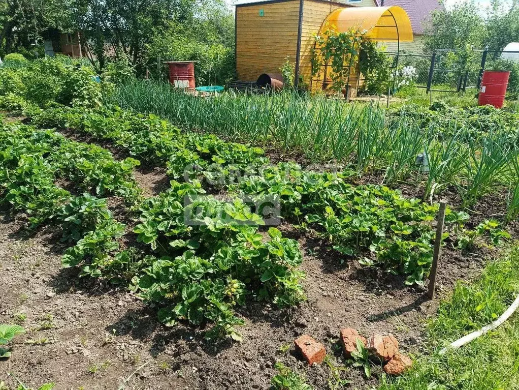 Участок в Марий Эл, Йошкар-Ола Коммунальник СНТ, 10/16 (4.0 сот.) - Фото 2