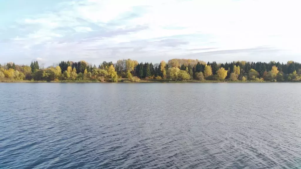 Участок в Московская область, Солнечногорск городской округ, Семейный ... - Фото 2
