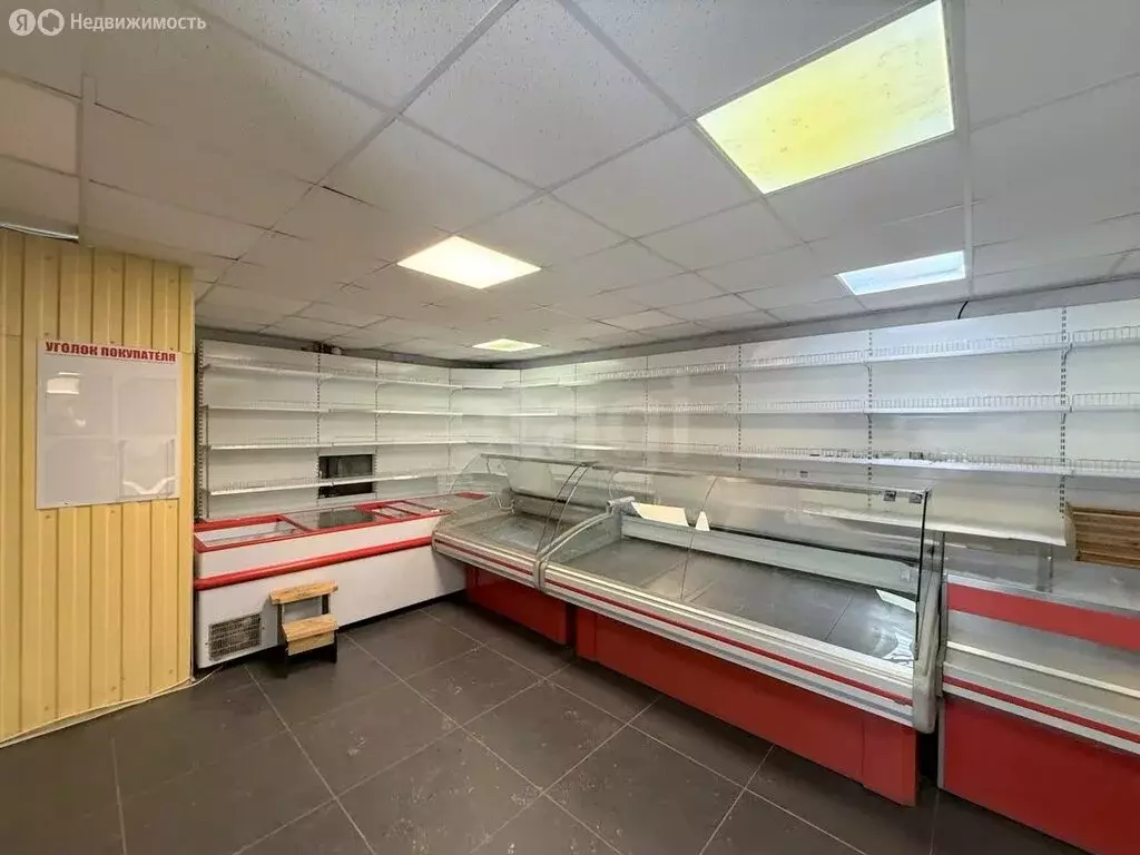 Торговая площадь (54.5 м) - Фото 1