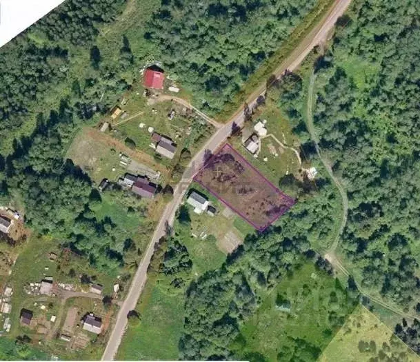 Участок в Новгородская область, Маловишерский район, Бургинское с/пос, ... - Фото 1