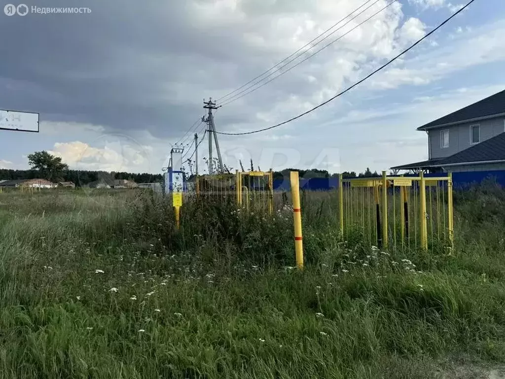 Участок в Тюменский муниципальный округ, деревня Криводанова (15 м) - Фото 2