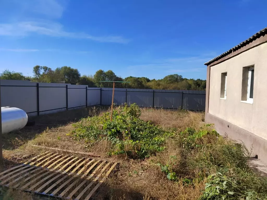 Дом в Липецкая область, с. Хлевное  (65 м) - Фото 2