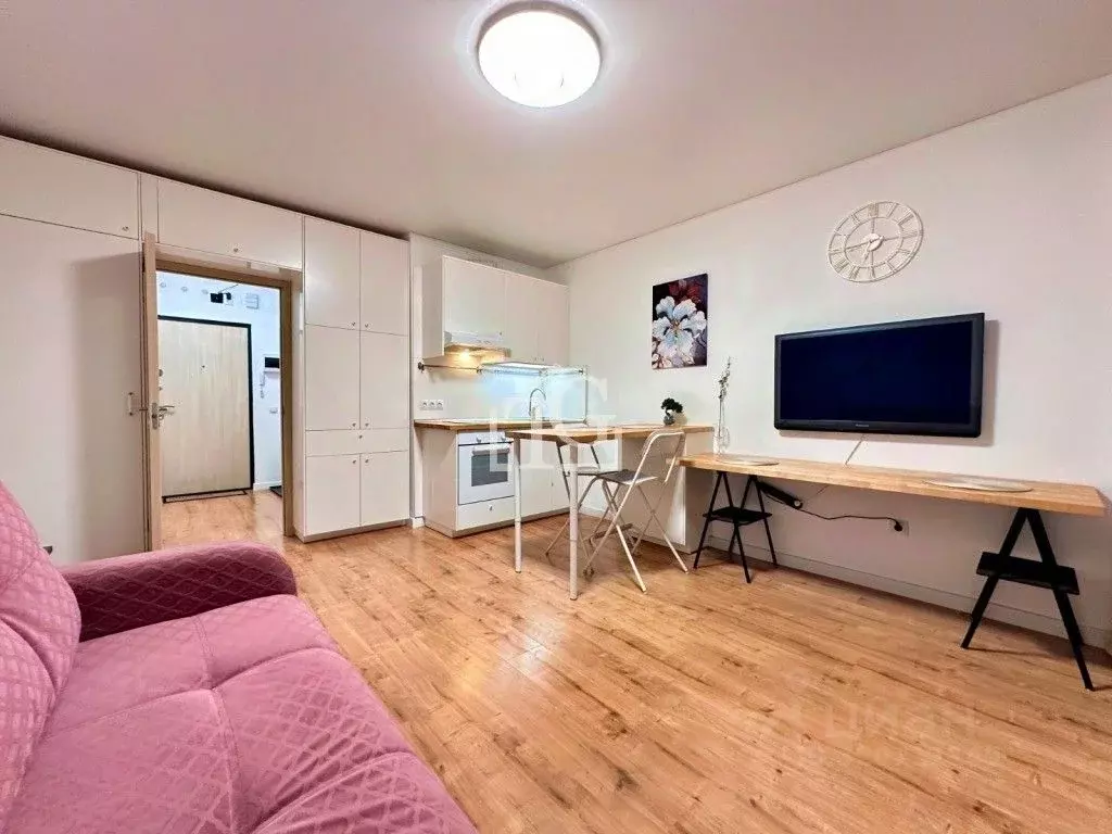 Студия Санкт-Петербург бул. Александра Грина, 1 (26.3 м) - Фото 1