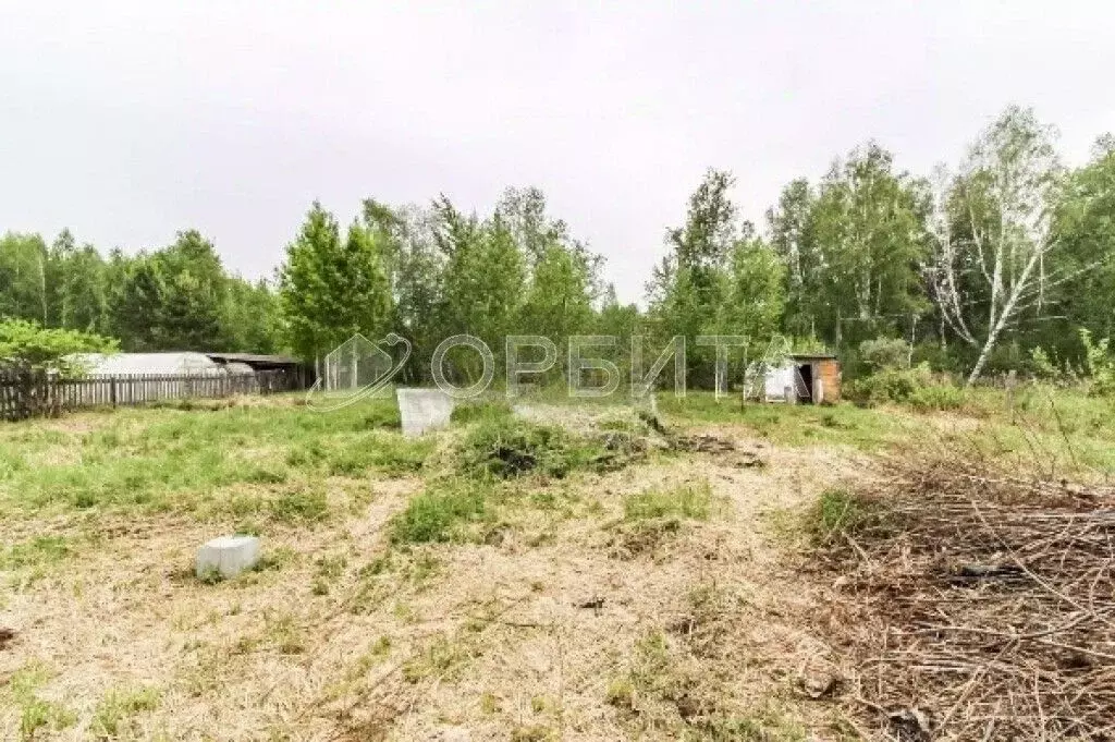 Участок в Тюменская область, Нижнетавдинский район, Лесная сказка СНТ ... - Фото 1