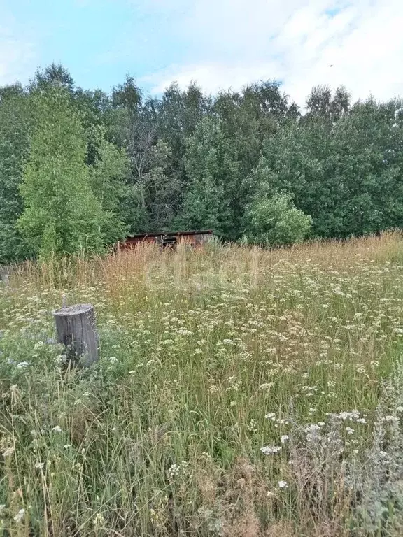 Участок в Томская область, Кожевниковский район, с. Киреевск Сибирская ... - Фото 0