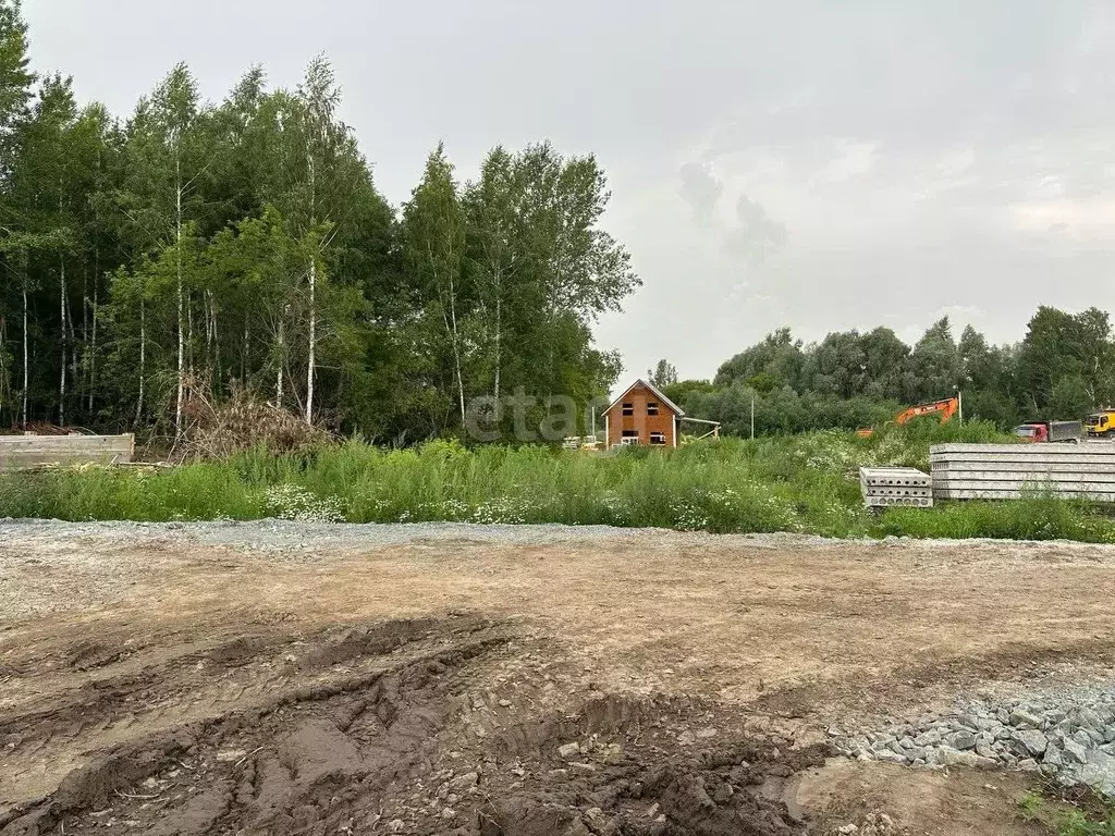 Участок в Новосибирская область, Новосибирский район, Каменский ... - Фото 1