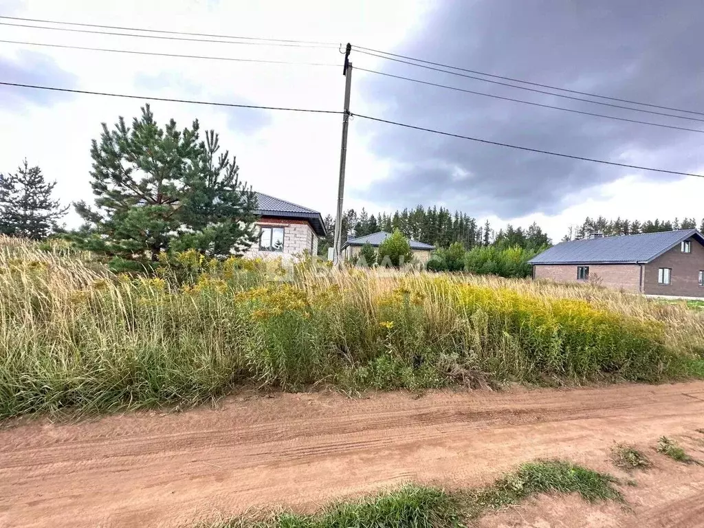 Участок в Татарстан, Нижнекамский район, Каенлинское с/пос, с. Борок ... - Фото 2