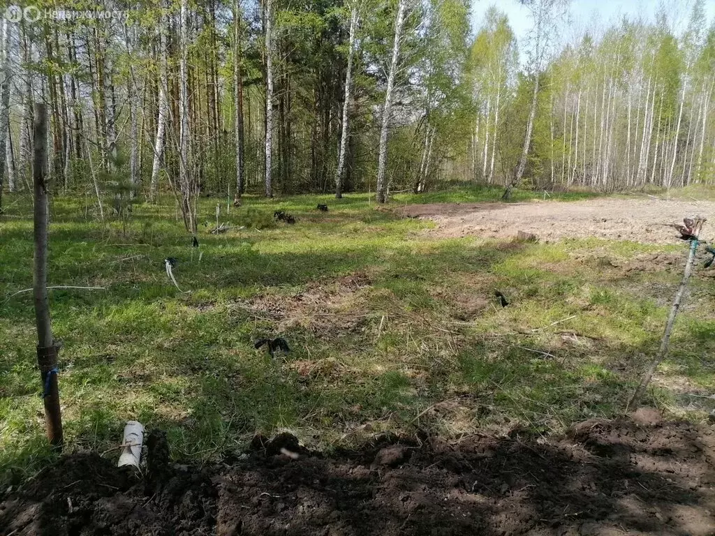 Участок в Тюменская область, Тобольск (8.9 м) - Фото 1
