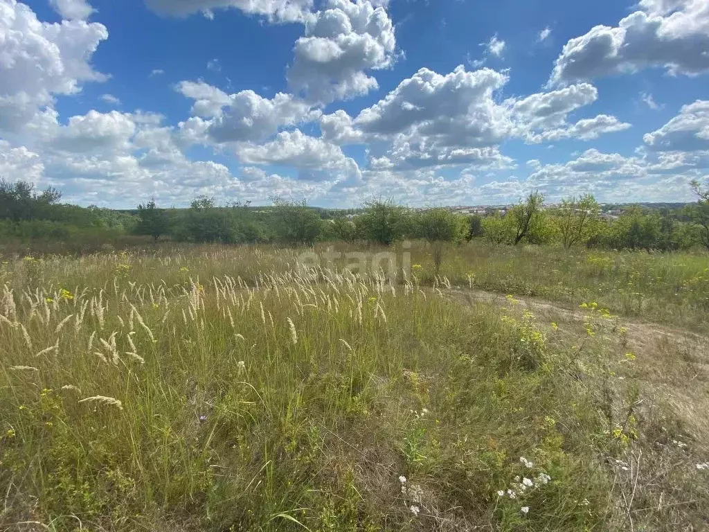 Участок в Белгородская область, Белгородский район, Новосадовское ... - Фото 1