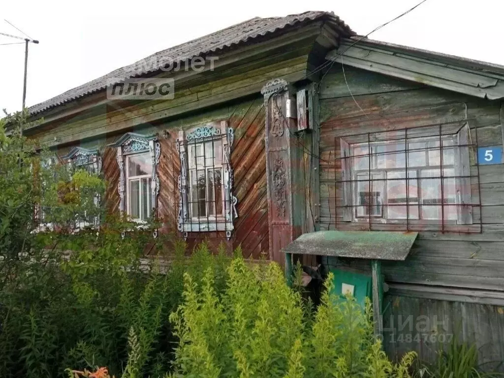 Дом в Нижегородская область, Арзамас городской округ, с. Чернуха ... - Фото 1